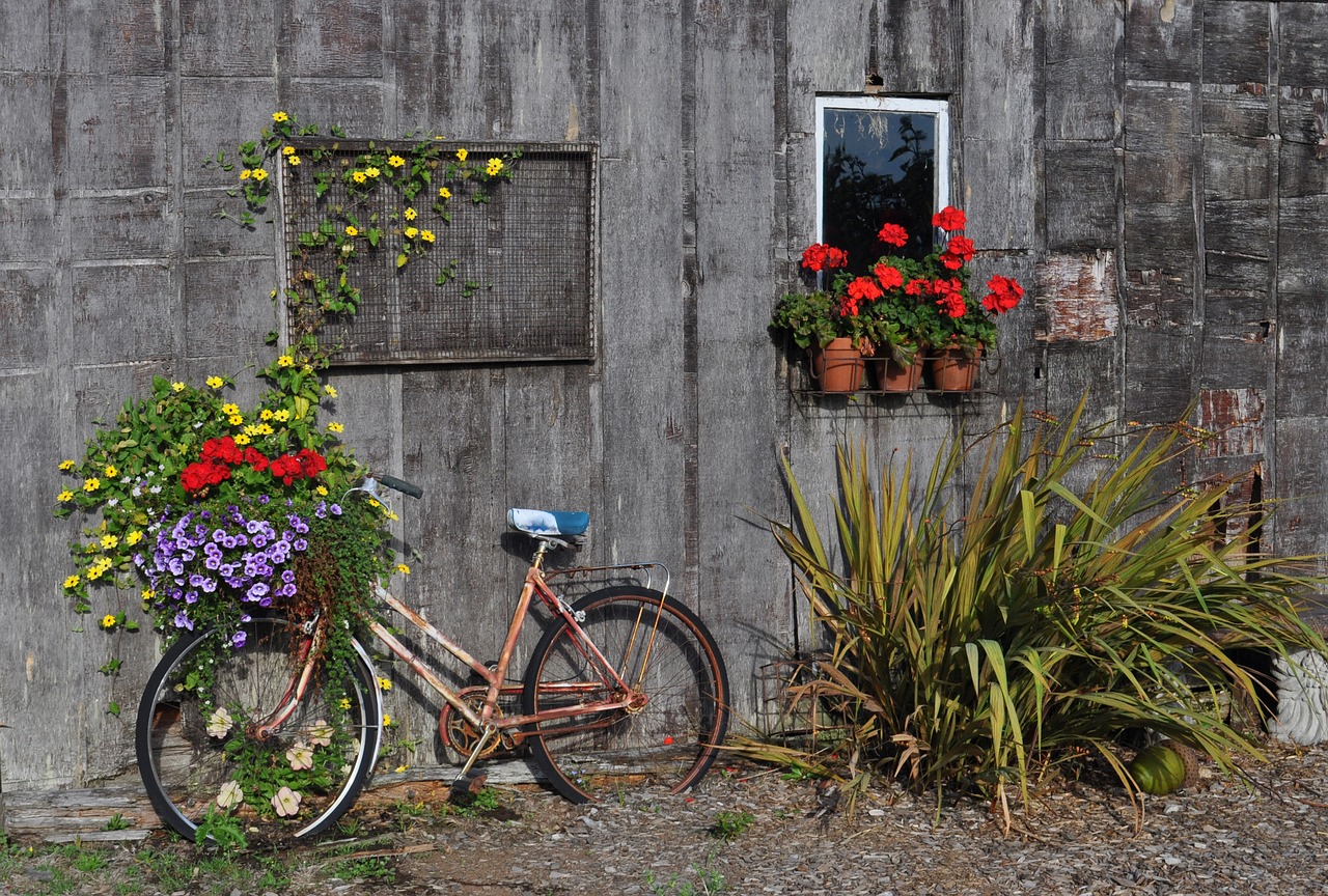 How to Build a DIY Planter Box for Your Garden